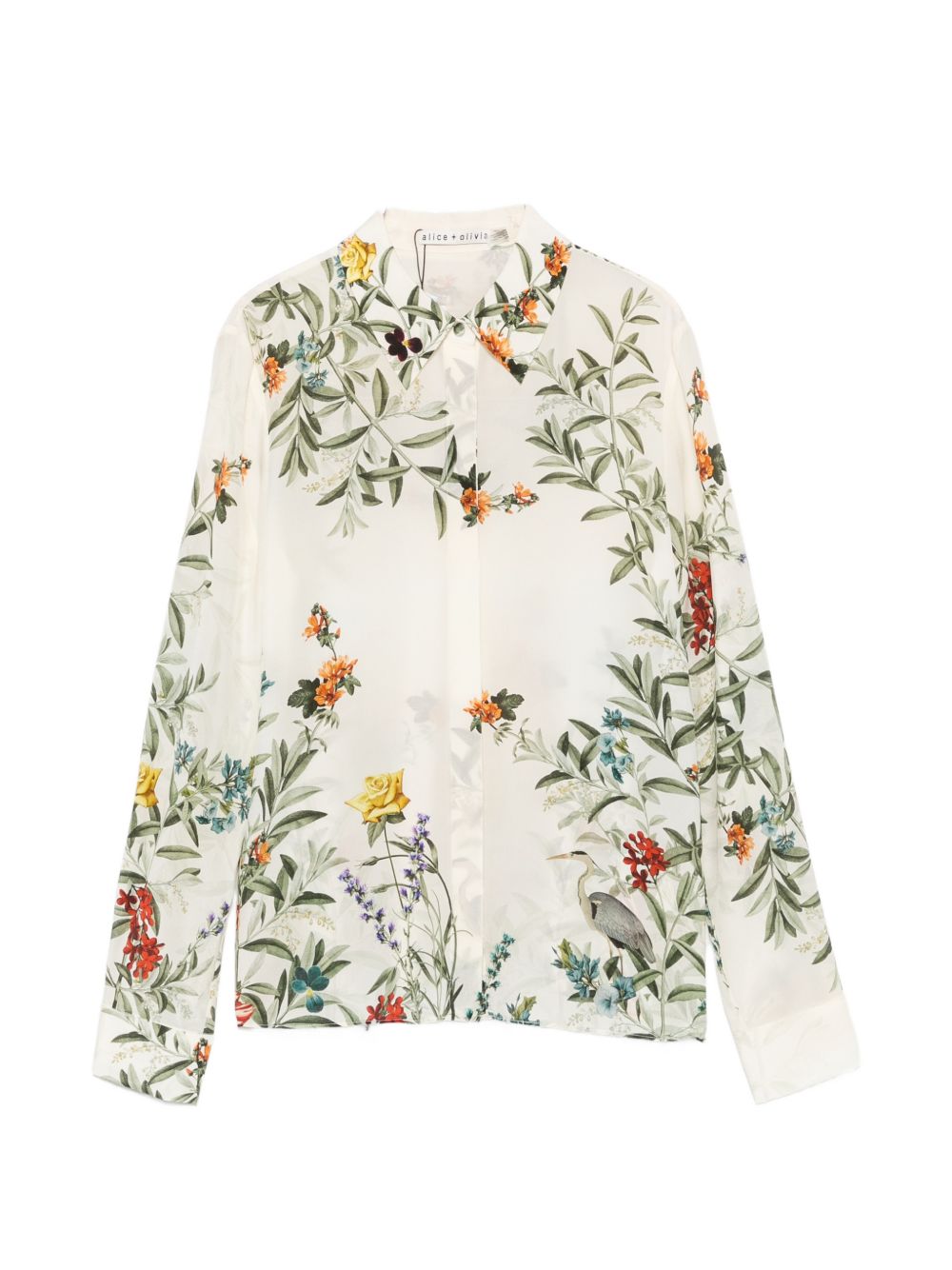 Shirts - Women
