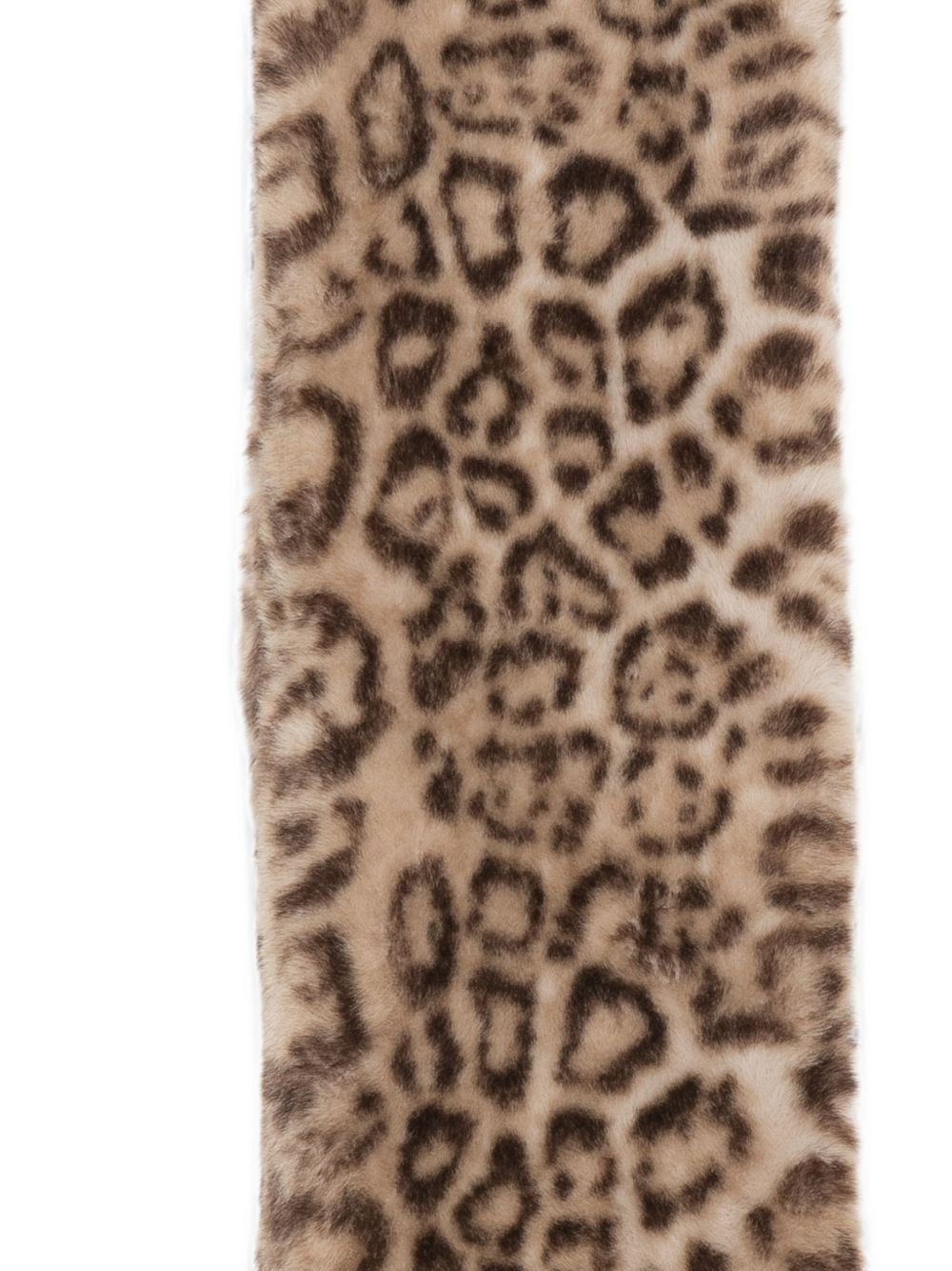 APPARIS Scarfs LEOPARD PRINT