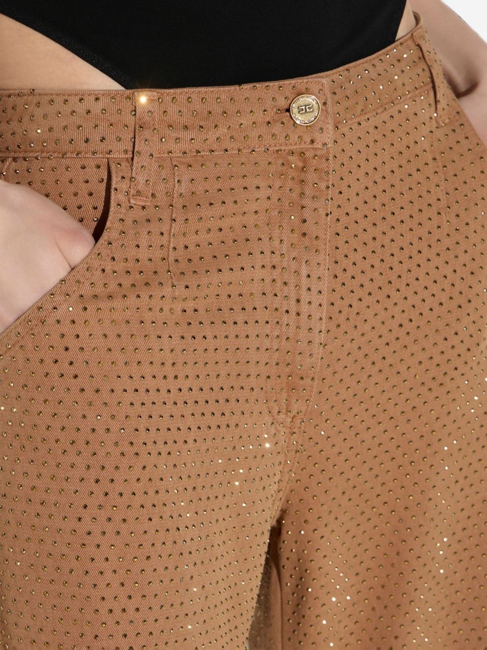 Elisabetta Franchi Trousers BROWN
