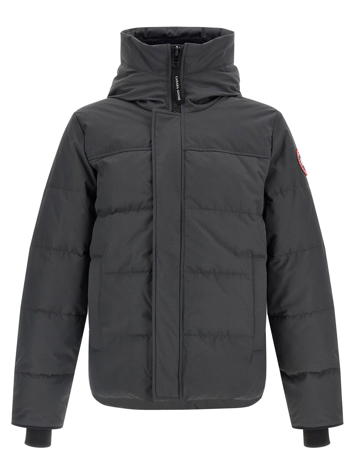 Jackets - Men