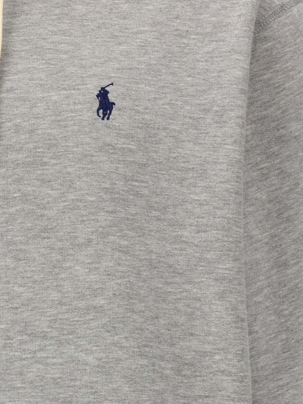 Polo Ralph Lauren Logo Hoodie