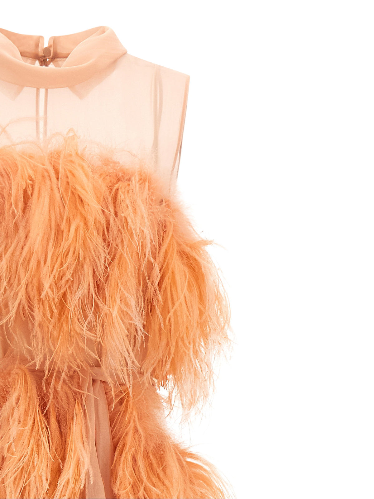 Alberta Ferretti Chiffon And Feather Dress