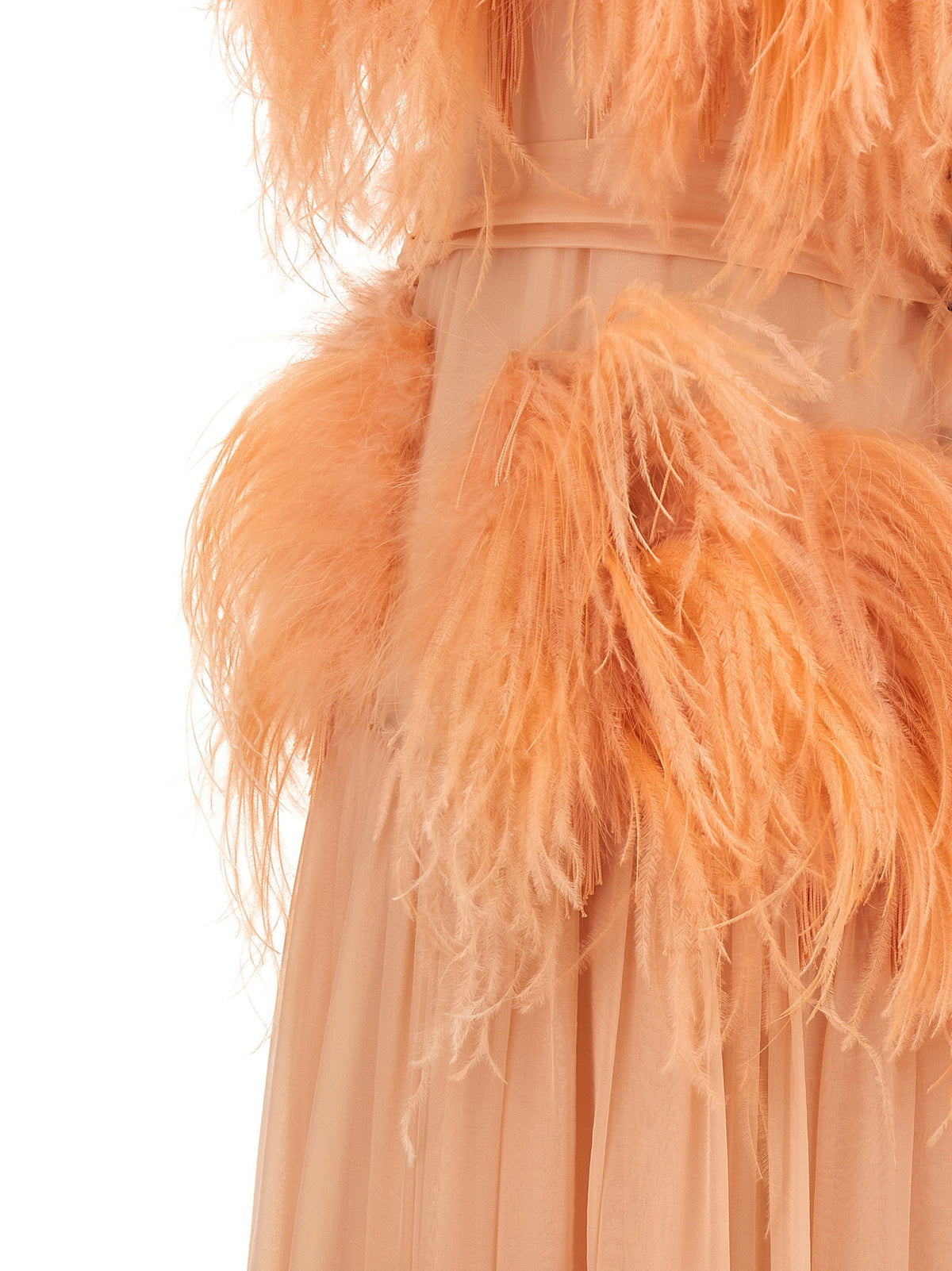 Alberta Ferretti Chiffon And Feather Dress