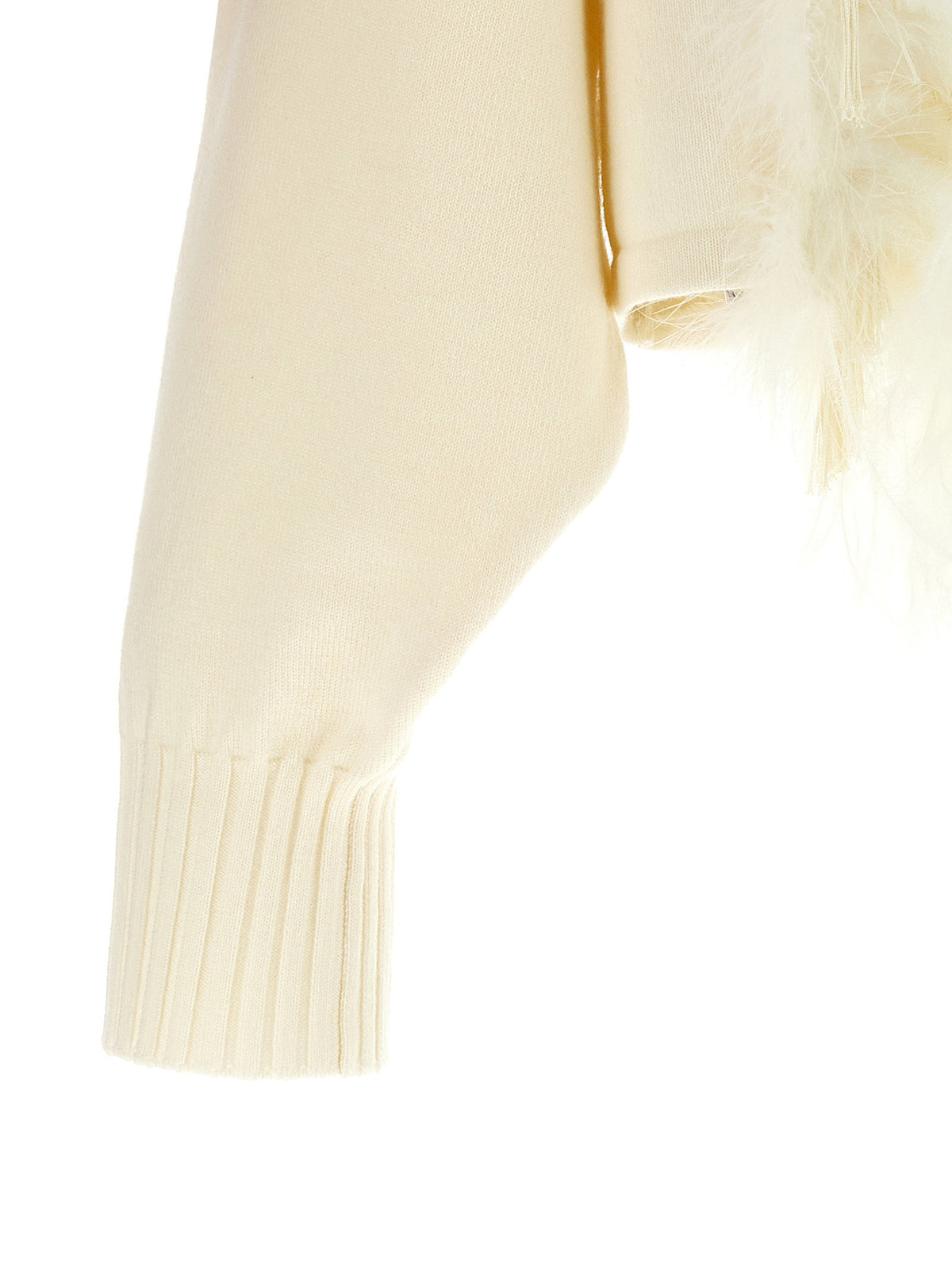 Alberta Ferretti Feather Cropped Sweater
