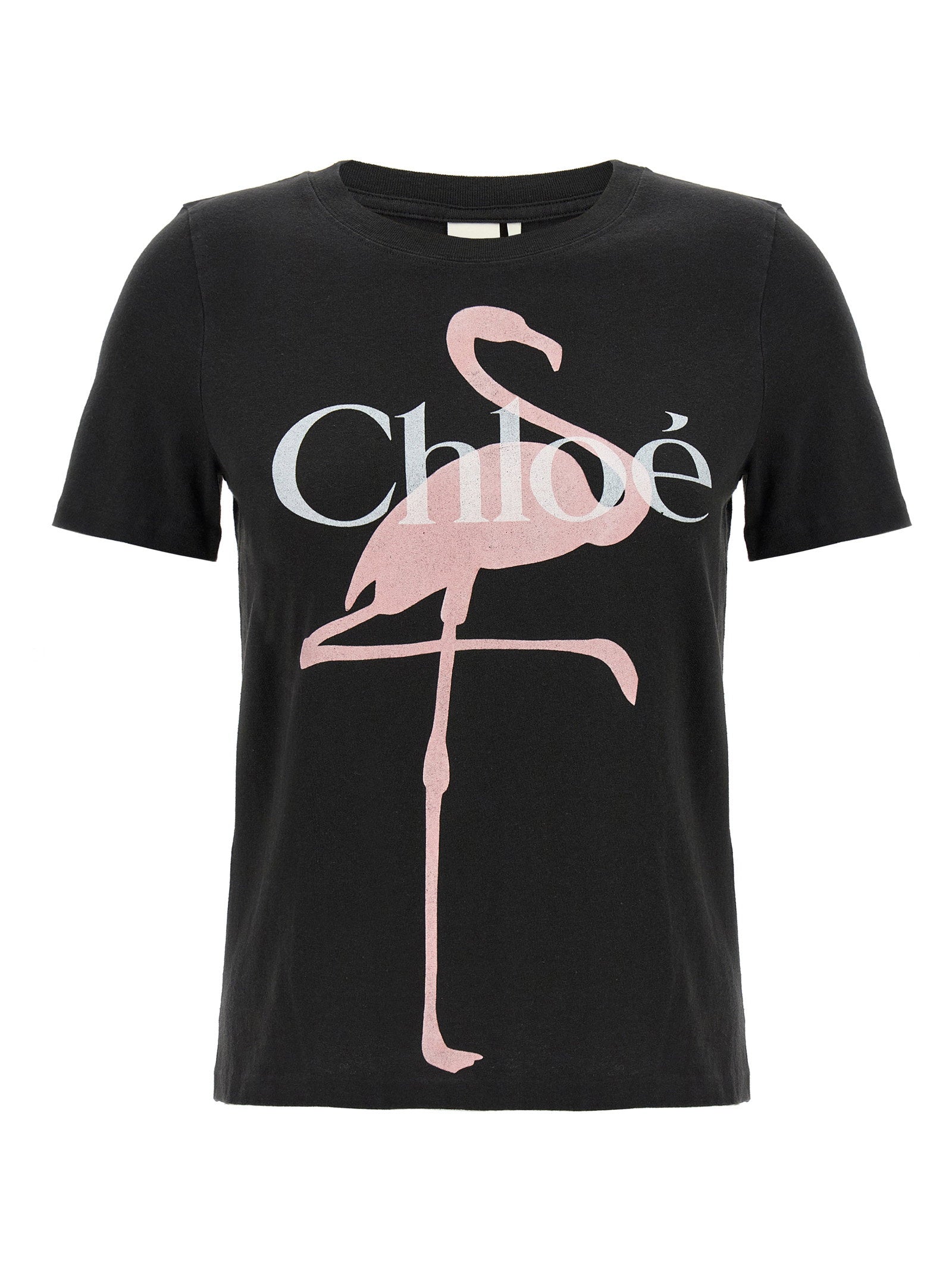 Topwear - Women