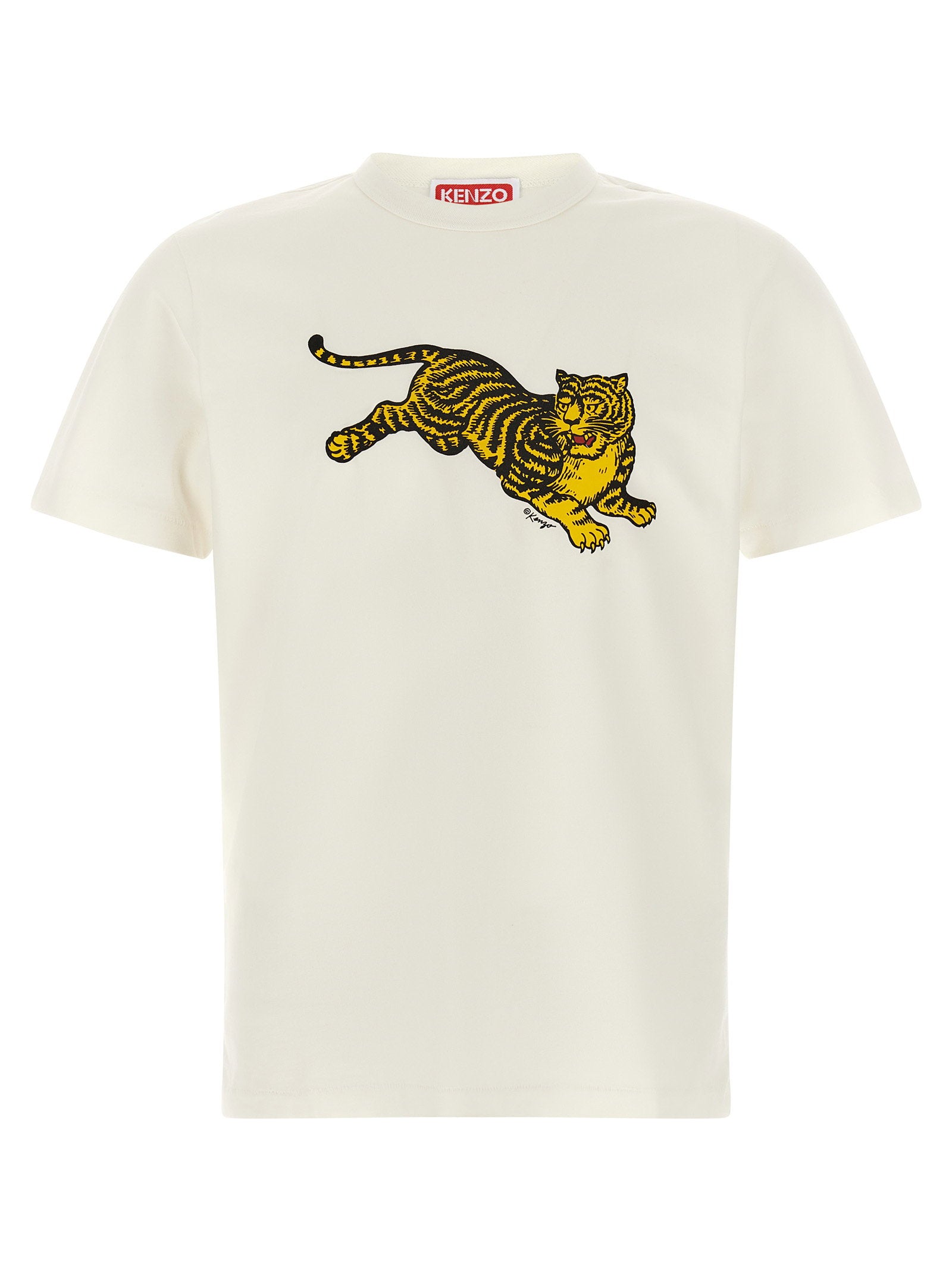 Topwear - Men