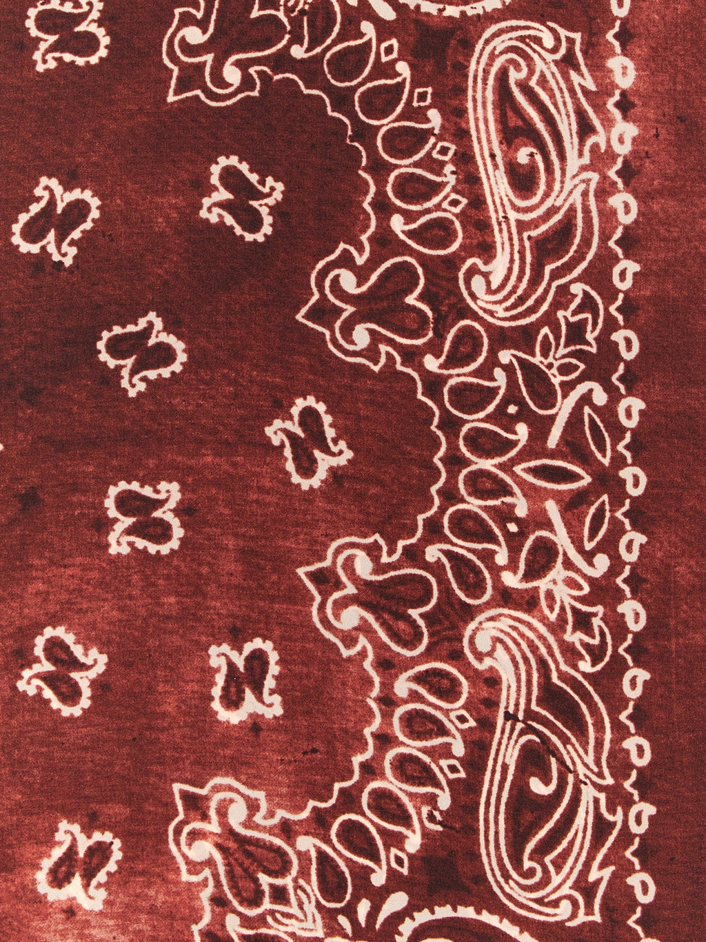 Golden Goose Paisley Scarf