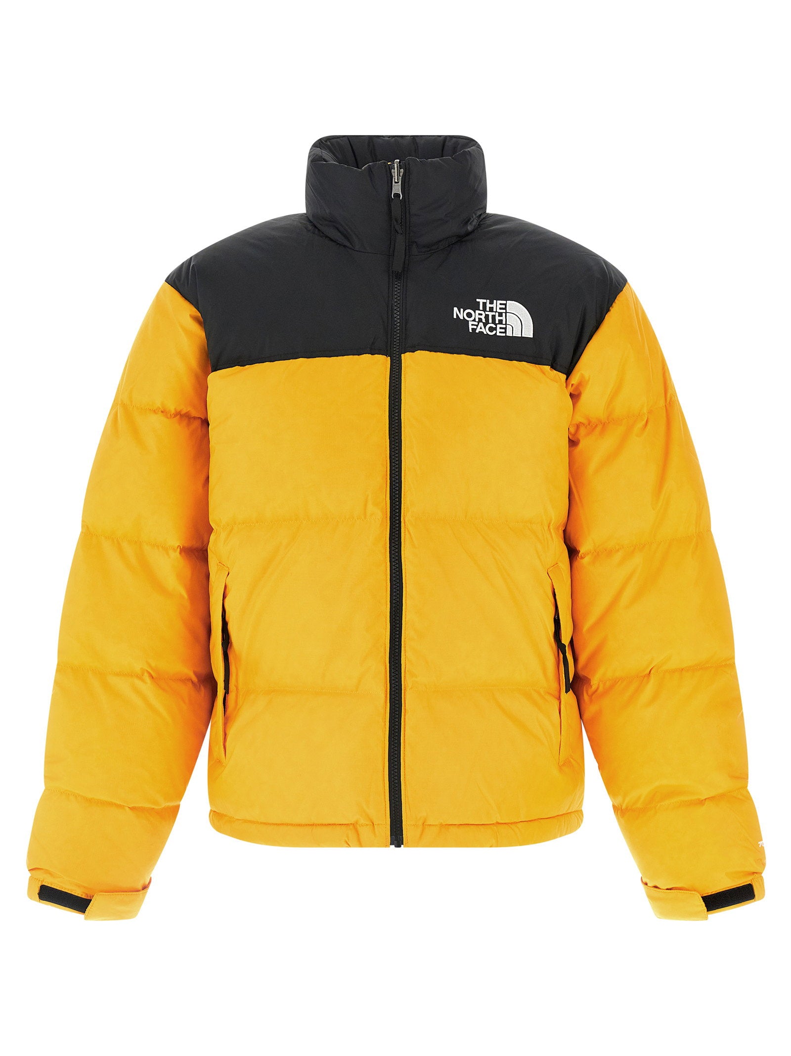 Jackets - Men