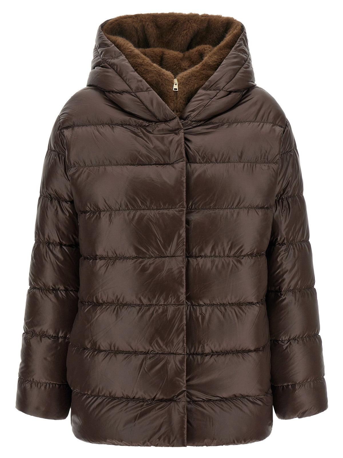 Jackets - Women